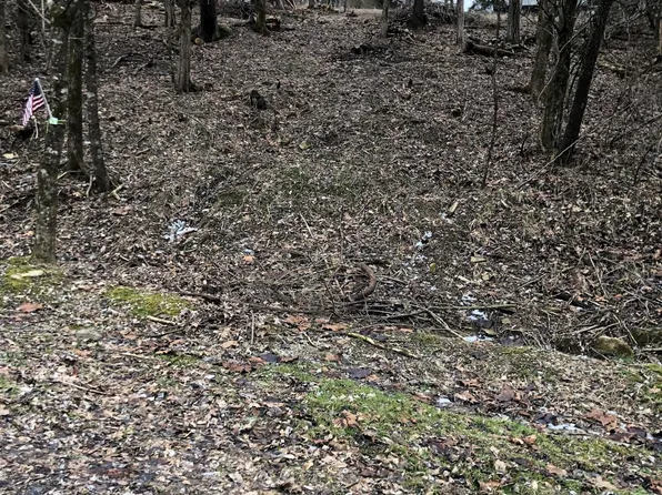 LOT-255A Cedarmore Rd, Bagdad, KY 40003