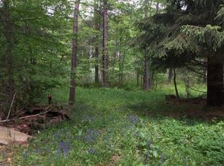 934 Monkey Run Rd, East Meredith, NY 13757