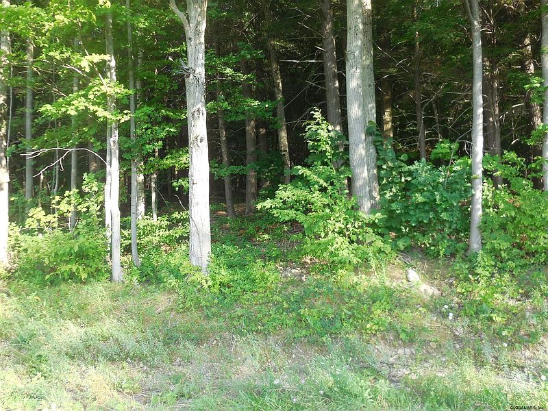 3rd image of WILLIE ONEIL Road