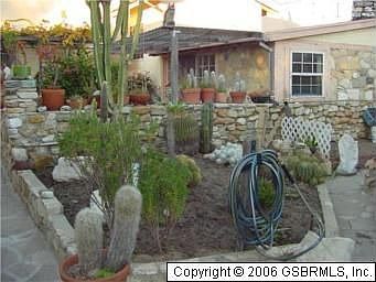 Cactus garden in the backyard