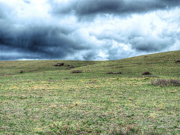 2nd image of County Road 520