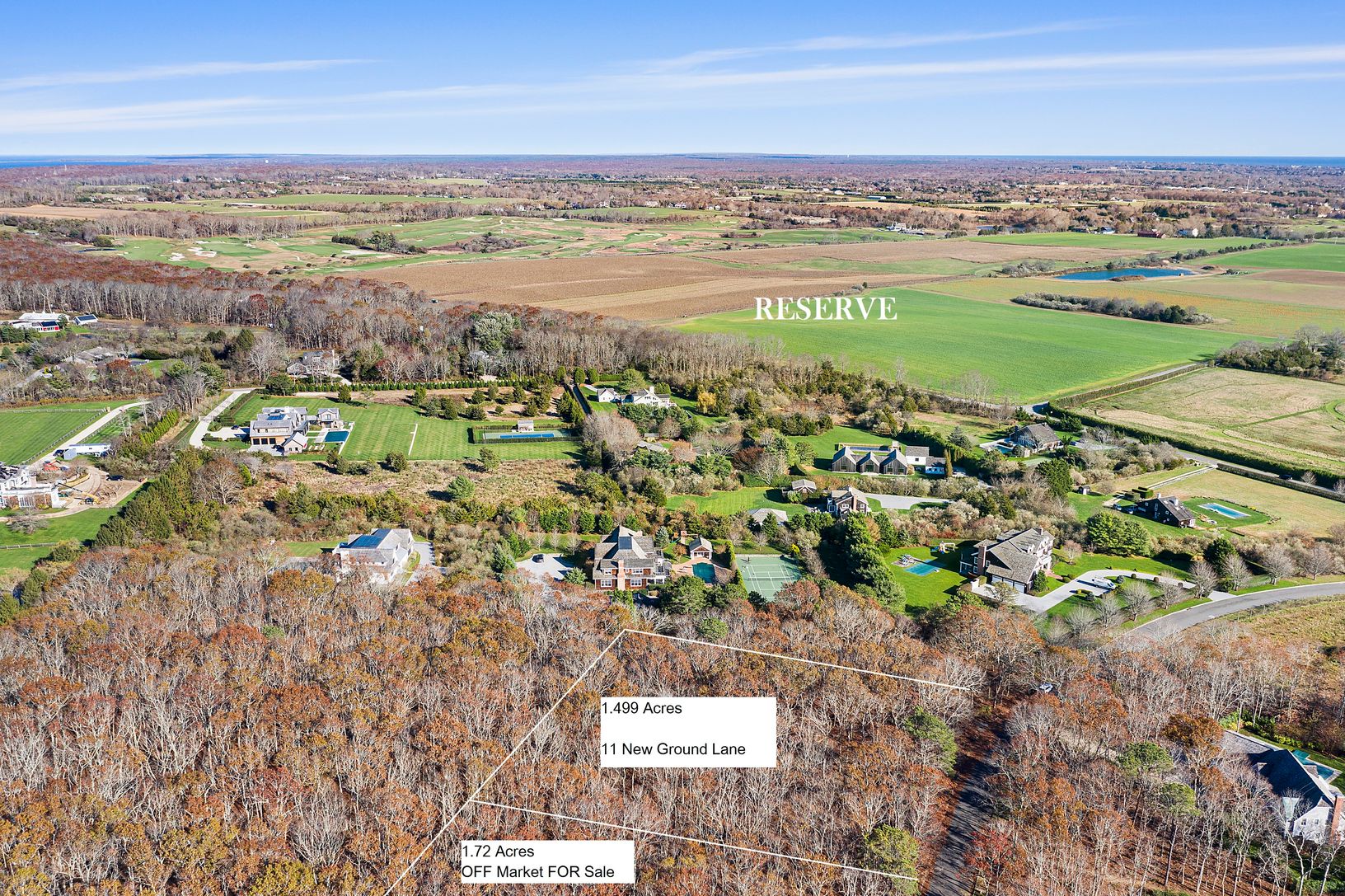  Potential Compound Opportunity