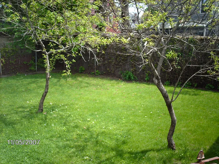 518 Watertown St #1 — Photo 7