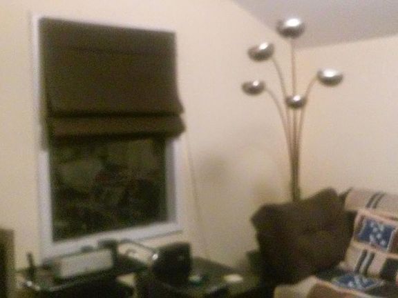 5th image of 675 Loeb St