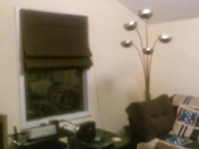675 Loeb St — Photo 5