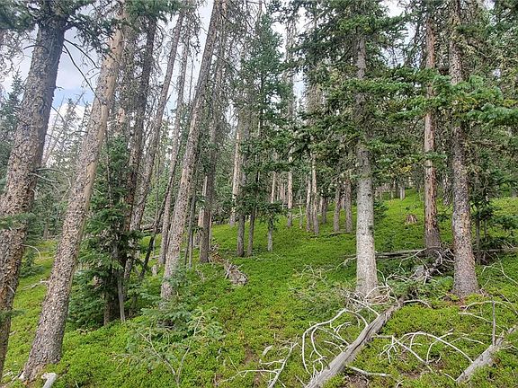 4th image of Lot 6542 Schlueter Road LOT 6542