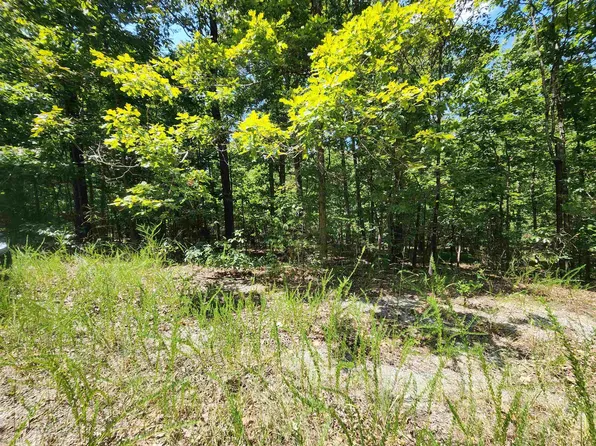 L-13 Calumet Dr #B, Cherokee Village, AR 72529