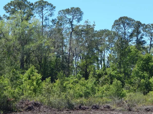 0 Union Park Rd NW, Wellborn, FL 32094