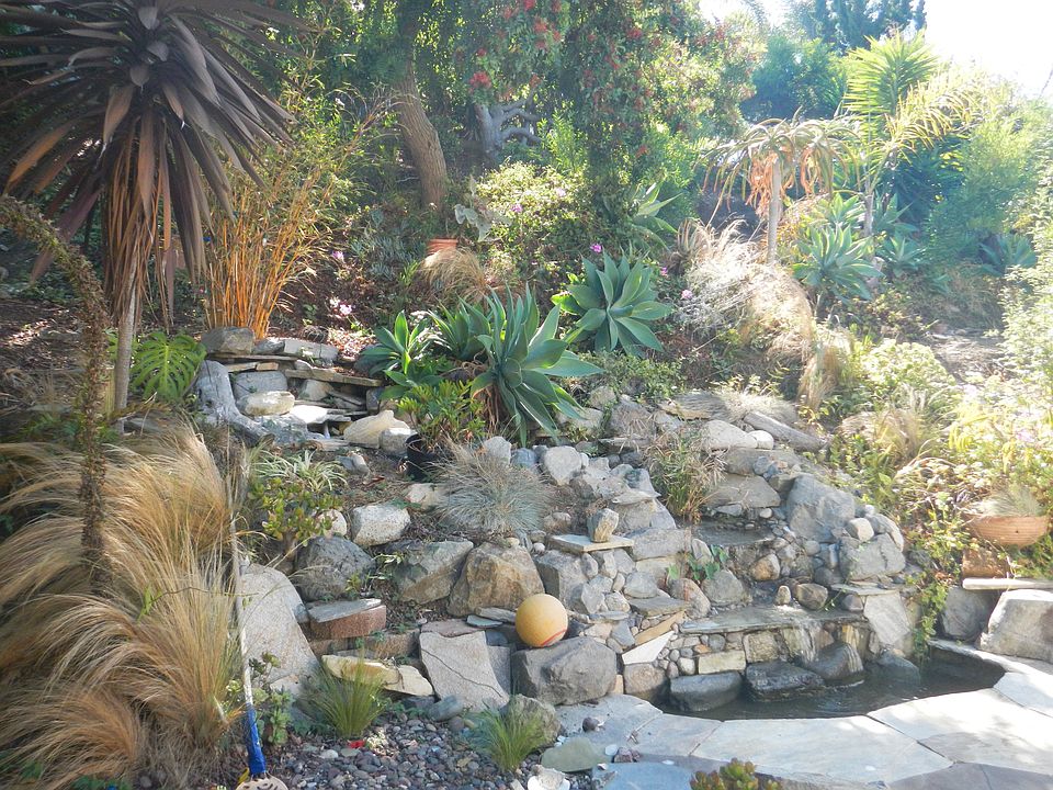 Waterfall in back yard