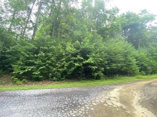 Tbd Bankers Bnd, Mountain City, TN 37683