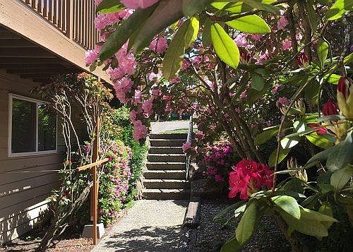 Walkway from Carport