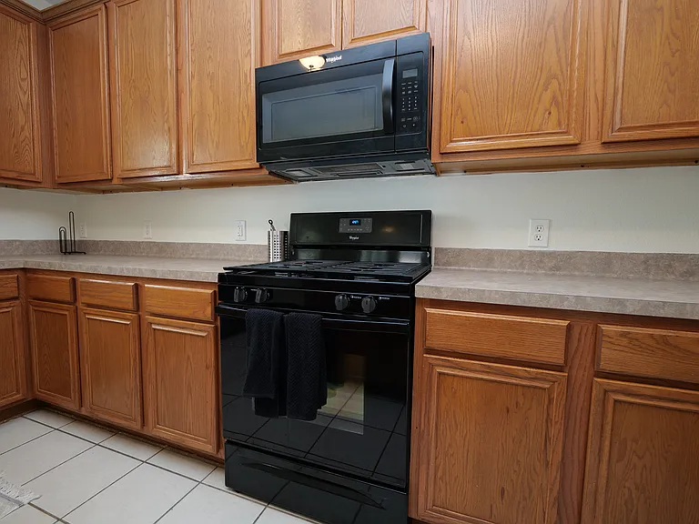 1203 Lavender Shade Ct — Photo 16