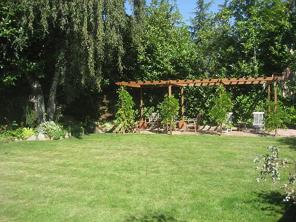 A nice shady place to relax