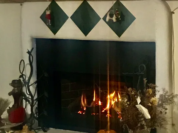 28213 Tresine Dr, Evergreen, CO 80439