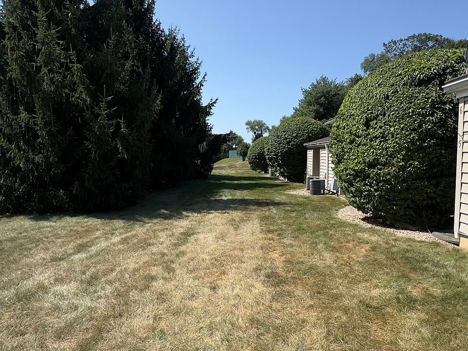 Quiet Backyard