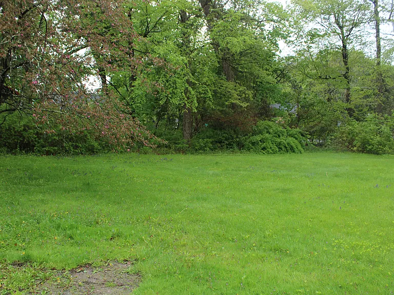 50 Route 343 #1A — Photo 23