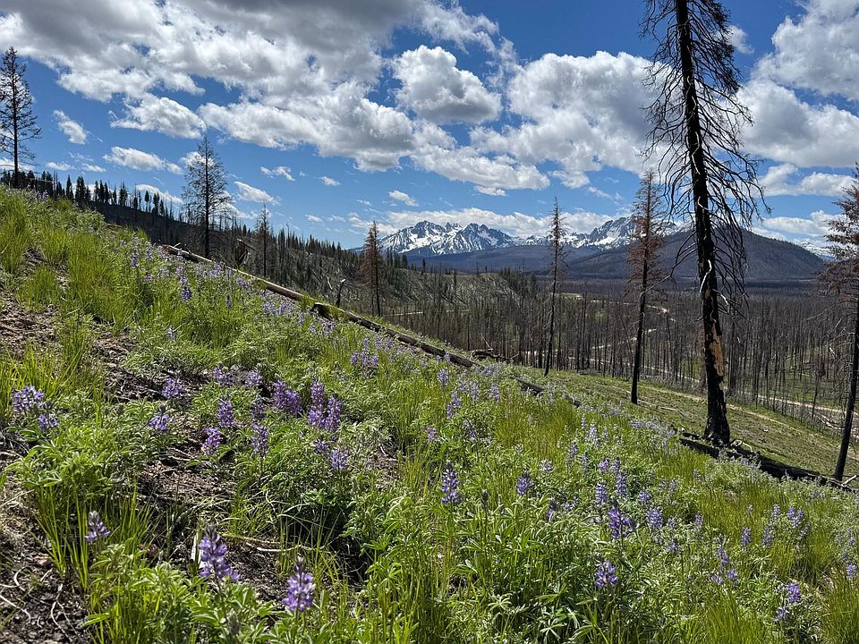 1st image of Tbd Valley Creek Rd