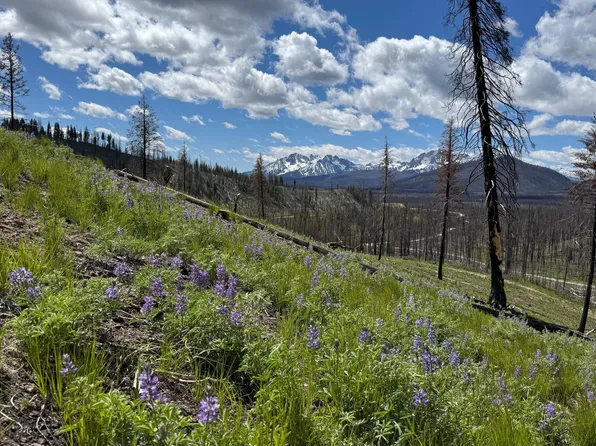 Tbd Valley Creek Rd, Stanley, ID 83278
