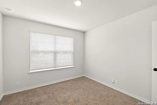 165 Kakapo Dr — Photo 3