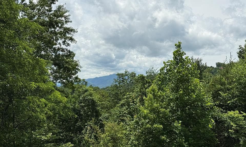 1st image of 4 Lookout Point