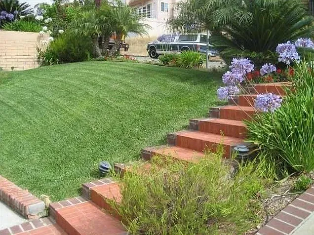 2383 Geranium St — Photo 2