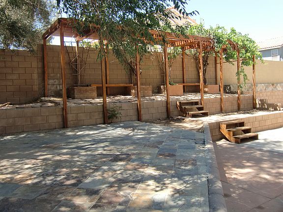 back yard