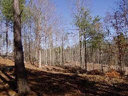 1st image of 900 U S Highway 78