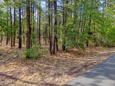 7202 Tall Pine Dr #74, Pinetop, AZ, 85935