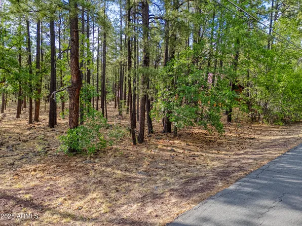 7202 TALL PINE Drive #74, Pinetop, AZ 85935