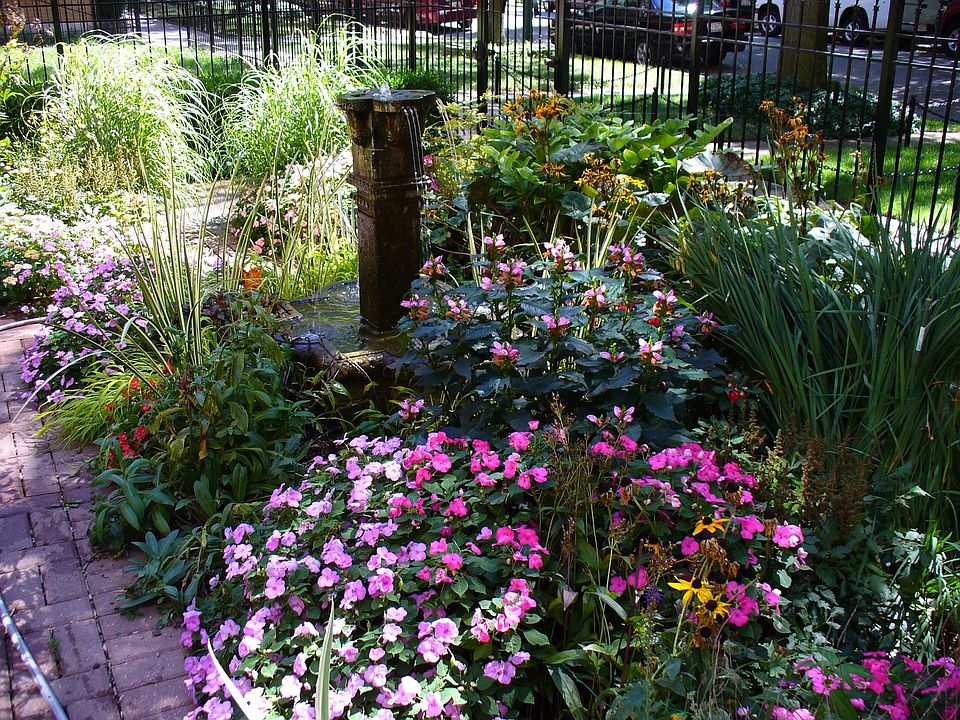front garden