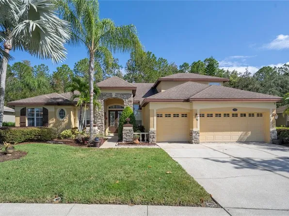 16750 Ivy Lake Dr, Odessa, FL 33556