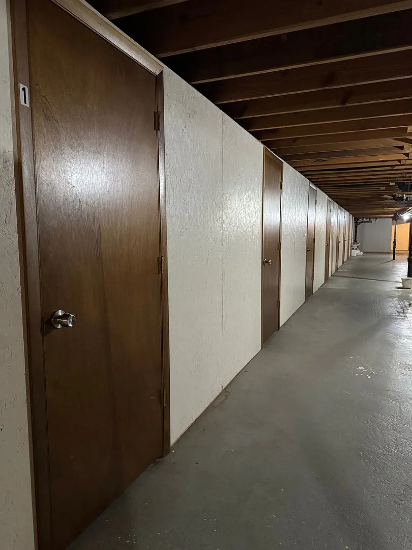 523pine — Photo 4
