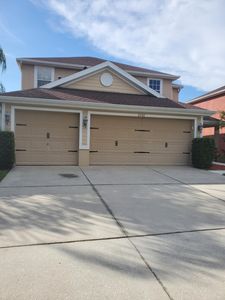 20512 Sultana Ct, Tampa, FL, 33647