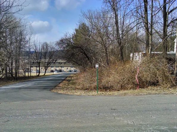 3141 Burris Rd, Vestal, NY 13850