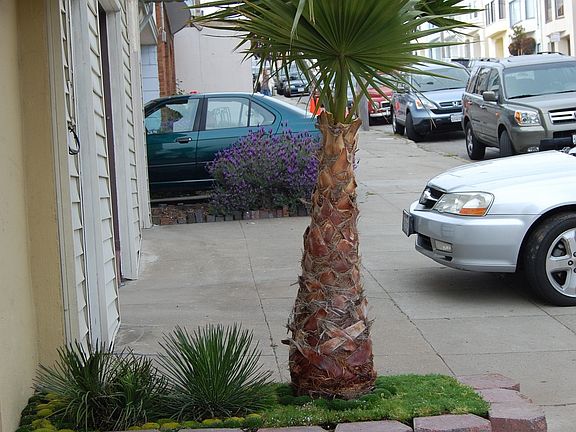 FRONT PLANTER - SIDE VIEW