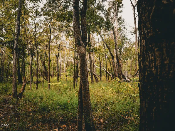 6581 Pecan Grove Rd, Woodville, MS 39669