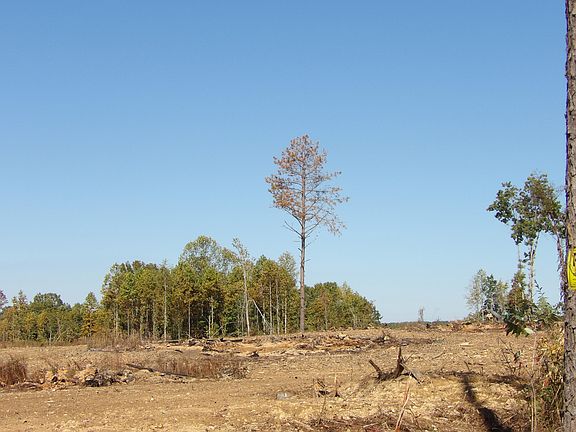 4th image of LOT-25A Summer City Rd