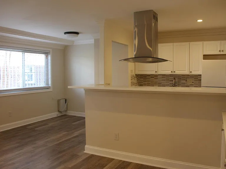 1133 N Randolph St #101 — Photo 6