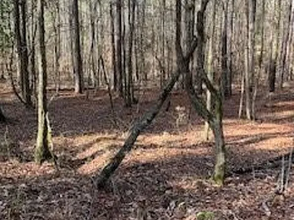 0 Veto Rd, Mc Call Creek, MS 39647