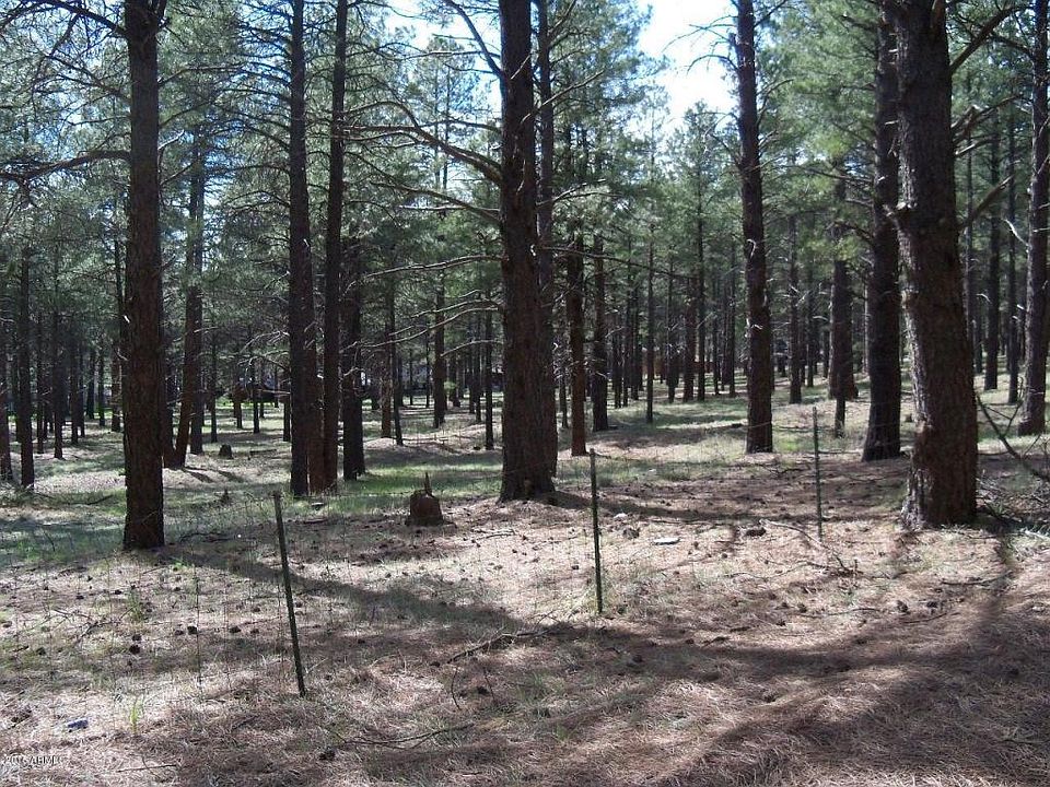 1st image of 646 Old Munds Hwy