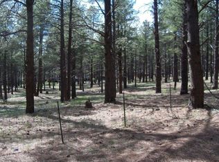 646 Old Munds Hwy, Flagstaff, AZ 86005