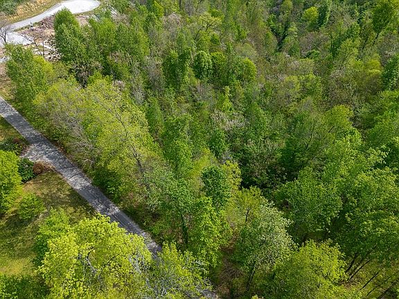 4th image of 75 Backbone Rd