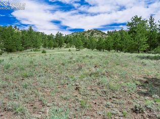 TRACT 8 County Road 102, Guffey, CO 80820
