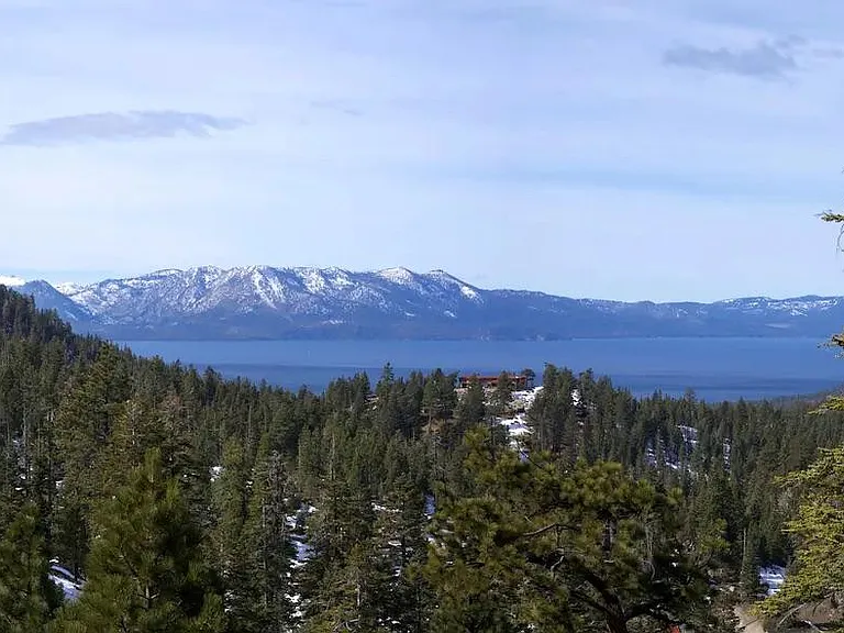 View from the forest out the front door