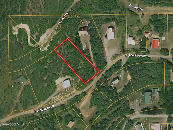Tbd Black Bear Dr, Collbran, CO 81624
