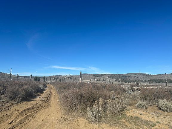 2nd image of Ruffed Grouse Ln #Tl-02000