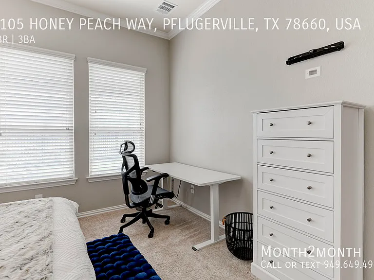 3105 Honey Peach Way #USA — Photo 26