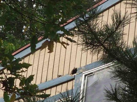3rd image of 2940 Amherst Ave