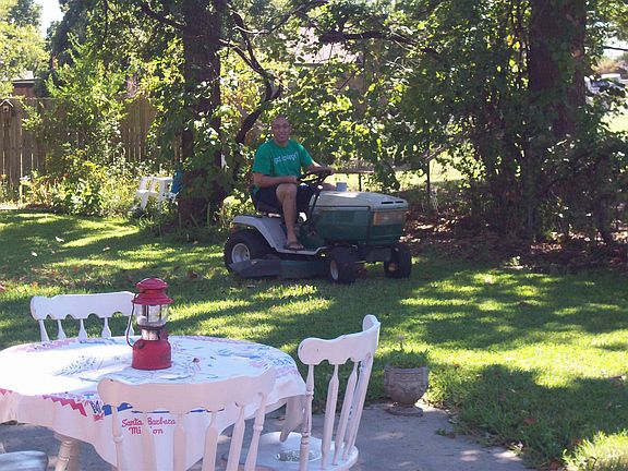beautiful yard. 