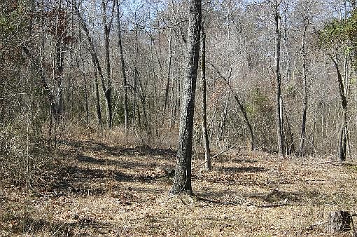 3rd image of Glory Mountain Ests Lot 5